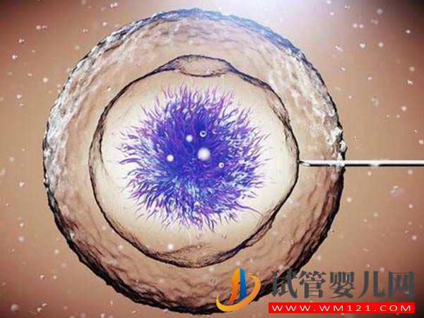 國內有能做第四代試管嬰兒的三甲醫院嗎？費用總共多少？(圖1)