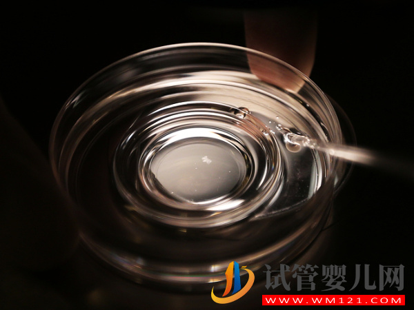 卵子老化的大齡女性看過來，第四代試管嬰兒幫你圓夢(圖1)