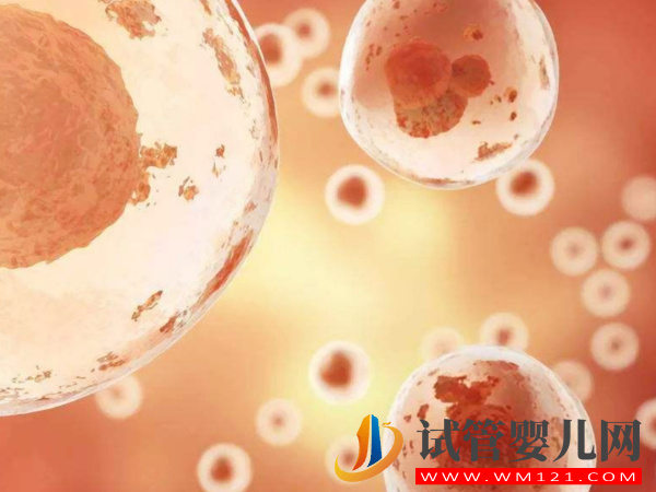 卵子老化的大齡女性看過來，第四代試管嬰兒幫你圓夢(圖3)