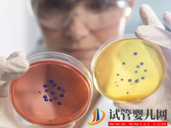 還不了解第四代試管嬰兒,兩個技術提高大齡女性成功率(圖1) 還不了解第四代試管嬰兒,兩個技術提高大齡女性成功率(圖1)