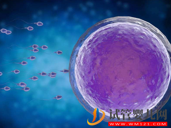 別以為做美國第四代試管嬰兒就能提高妊娠率(圖1)