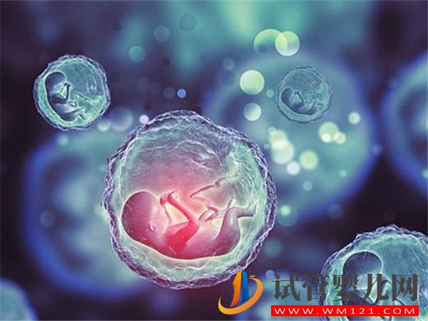 為什么大齡女性做供卵試管的成功率會更高？(圖1)