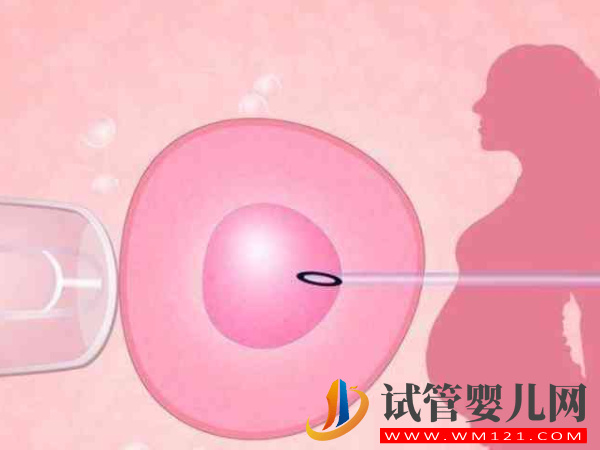 47歲絕經女性做供卵試管嬰兒能成功嗎？(圖1)