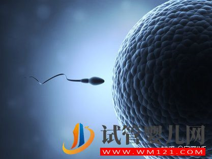 試管嬰兒網(wǎng):43歲做試管,成功的幾率有多大(圖1) 43歲做試管,成功的幾率有多大(圖1)