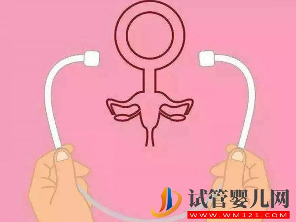 子宮腺肌癥射頻治療效果不佳，中醫+飲食調理可能更好(圖1)