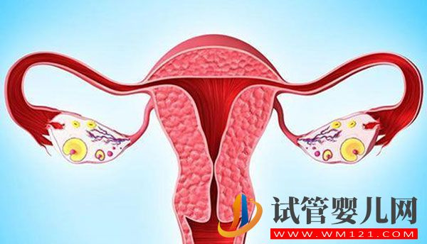 輸卵管阻塞怎么治療？輸卵管阻塞需要做試管嬰兒嗎？(圖1)