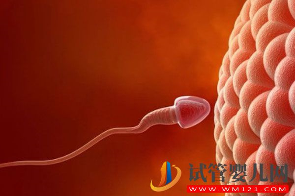 影響試管嬰兒成功率的因素總結(圖2)