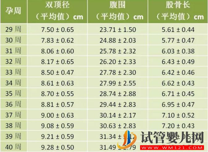 懷孕1-10月胎兒的發育標準及對照表，你知道嗎？(圖2)