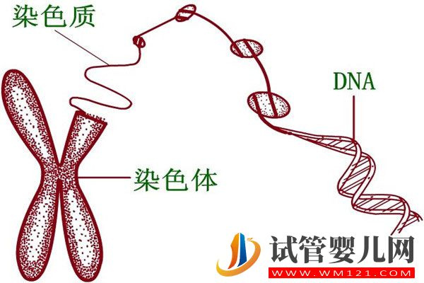 做試管反復種植失敗要選擇第三代試管嗎(圖2)