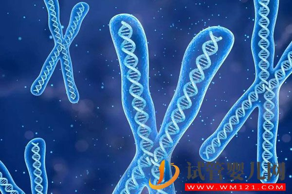 大齡、失獨家庭烏克蘭試管嬰兒多這3項常規檢查(圖3)