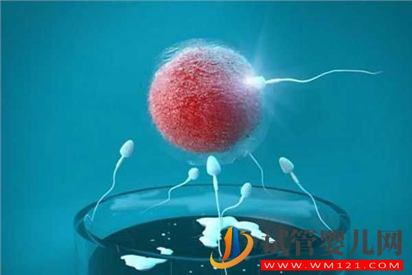 什么是試管嬰兒？從一代到四代看完你就知道了(圖3)