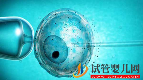 什么是試管嬰兒？從一代到四代看完你就知道了(圖4)