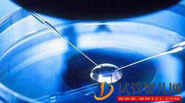 什么是試管嬰兒？從一代到四代看完你就知道了(圖7)
