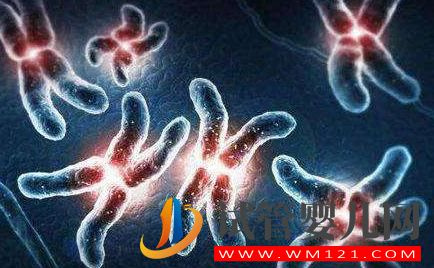 能夠自然受孕,為何還要做試管嬰兒?(圖2) 能夠自然受孕,為何還要做試管嬰兒?(圖2)