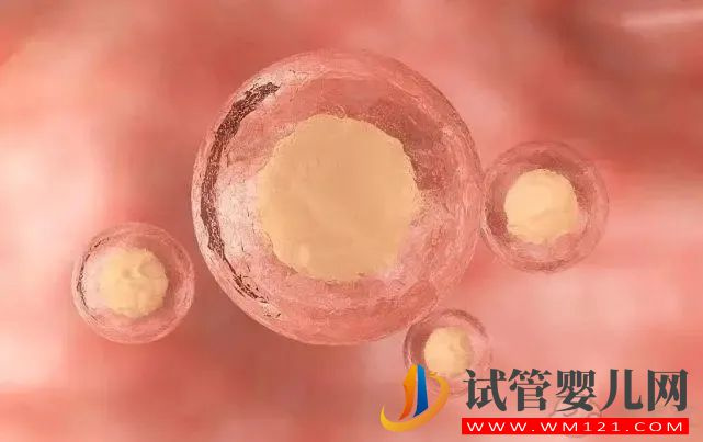 試管嬰兒容易成功的人,往往都處在這個(gè)年齡段(圖2) 林芝試管嬰兒容易成功的人,往往都處在這個(gè)年齡段(圖2)