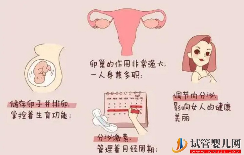 從AMH值來(lái)分析試管嬰兒成功率(圖1) 從AMH值來(lái)分析試管嬰兒成功率(圖1)