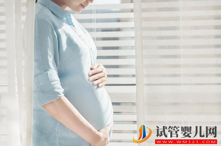 影響試管嬰兒成功率的子宮內環境有哪些(圖1)