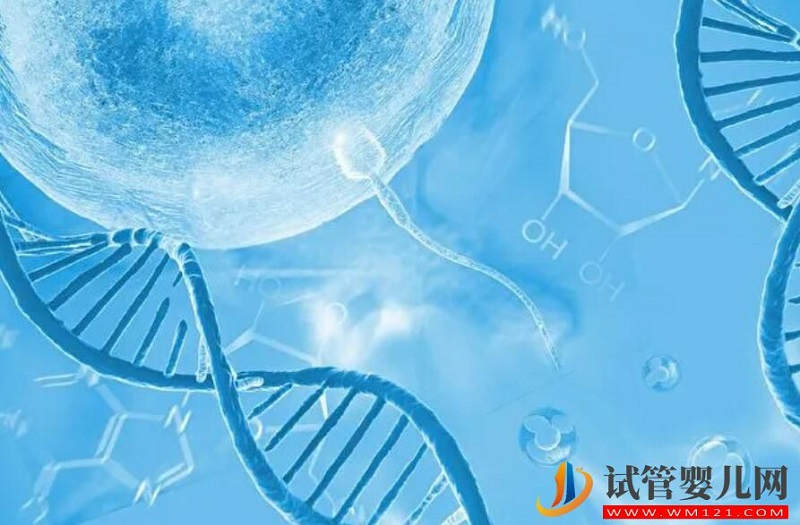 男性不孕隱蔽問題,精子DNA斷裂怎么辦?(圖1) 男性不孕隱蔽問題,精子DNA斷裂怎么辦?(圖1)