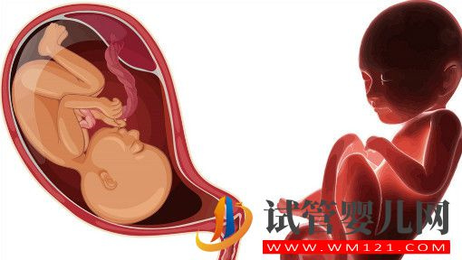 胚胎質量很好，為啥做試管嬰兒胚胎不著床？(圖1)