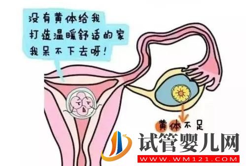胚胎質量很好，為啥做試管嬰兒胚胎不著床？(圖2)