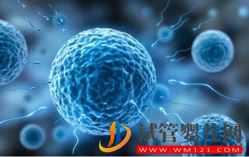 試管促排卵會對女性身體產生傷害嗎？(圖1)