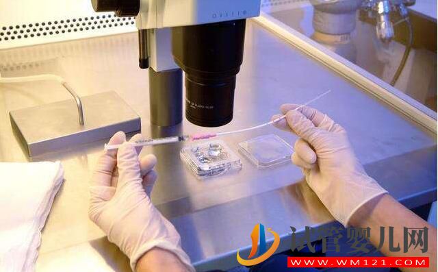 試管嬰兒移植后胚胎著床是什么感覺?(圖3) 試管嬰兒移植后胚胎著床是什么感覺?(圖3)