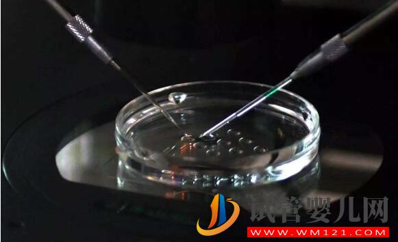 試管嬰兒移植后胚胎著床是什么感覺?(圖4) 試管嬰兒移植后胚胎著床是什么感覺?(圖4)