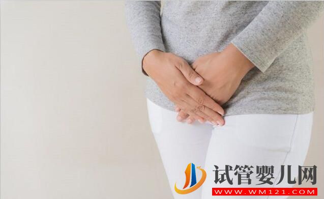 做試管移植前憋尿到底是為什么?(圖2) 做試管移植前憋尿到底是為什么?(圖2)