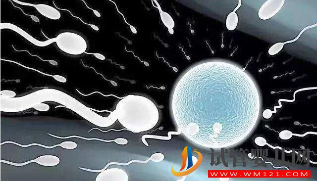 人工授精和試管嬰兒詳細介紹及對比？(圖2)