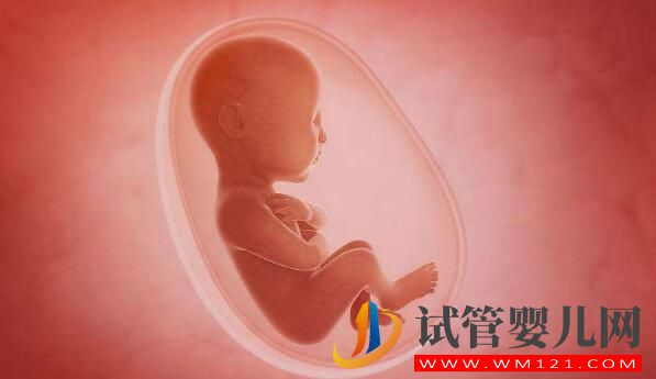 人工授精和試管嬰兒詳細介紹及對比？(圖5)