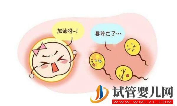 試管嬰兒移植后反應(yīng)有哪些?(圖1) 日喀則試管嬰兒移植后反應(yīng)有哪些?(圖1)