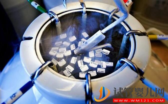 做試管胚胎移植究竟可以冷凍保存多久?(圖1) 做試管胚胎移植究竟可以冷凍保存多久?(圖1)