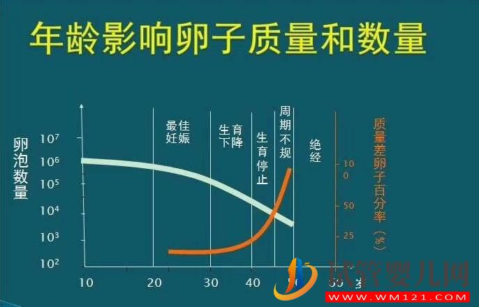 女人多少歲后不能做試管嬰兒?(圖1) 女人多少歲后不能做試管嬰兒?(圖1)