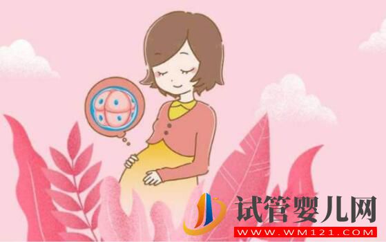 女人多少歲后不能做試管嬰兒?(圖3) 女人多少歲后不能做試管嬰兒?(圖3)
