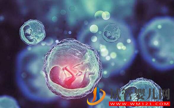 試管術后注意事項及身體感覺有哪些？(圖1)