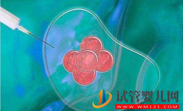 做試管促排費(fèi)用要多少？(圖4)