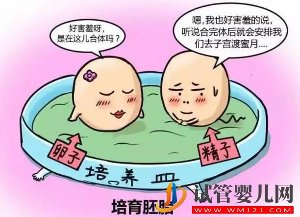 和田人工授精和試管嬰兒的區別及手術費用是多少？(圖3)