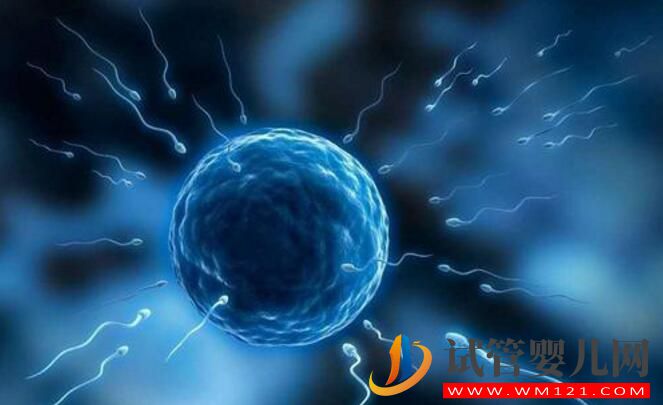 和田人工授精和試管嬰兒的區別及手術費用是多少？(圖6)