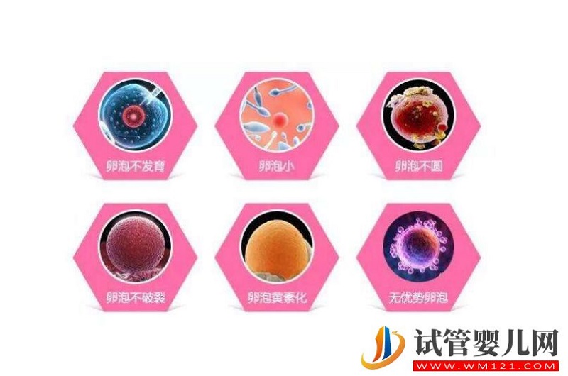 卵泡不長能做試管嗎？(圖2)