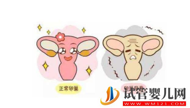 卵巢功能不好能做試管?嬰兒嗎?(圖3) 卵巢功能不好能做試管?嬰兒嗎?(圖3)