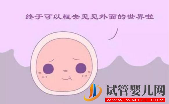 試管卵子質量不好怎么辦？(圖2)