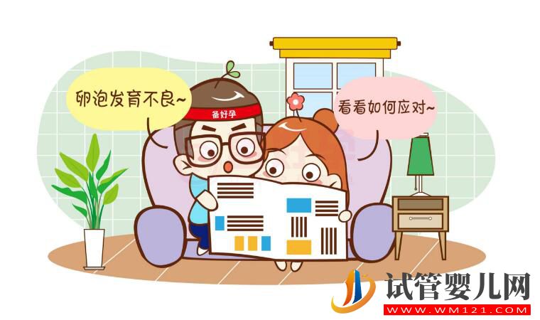 試管卵子質量不好怎么辦？(圖4)