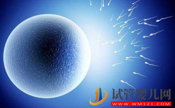 試管卵子質量不好怎么辦？(圖3)