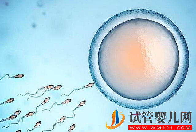 為什么試管促排很好,胚胎卻很少(圖1) 為什么試管促排很好,胚胎卻很少(圖1)