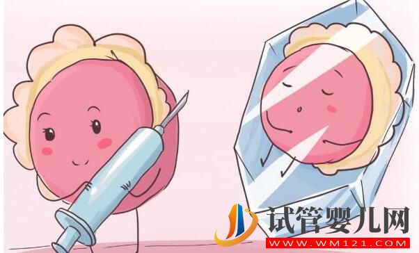 做三代試管應(yīng)該如何選擇胚胎類型？(圖2)