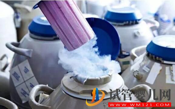 做三代試管應(yīng)該如何選擇胚胎類型？(圖1)