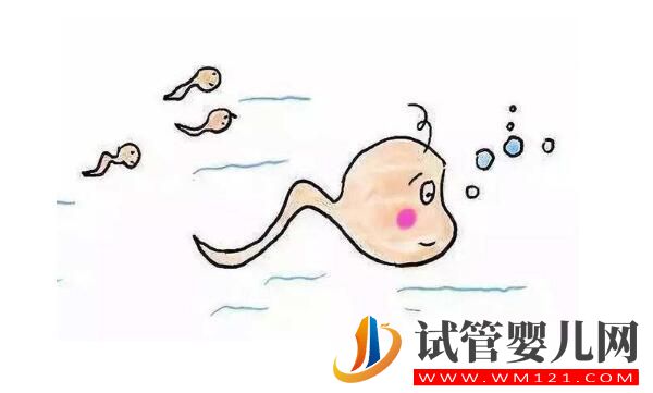 試管嬰兒的出發點和原理是什么？想要了解的進來看看了(圖1)