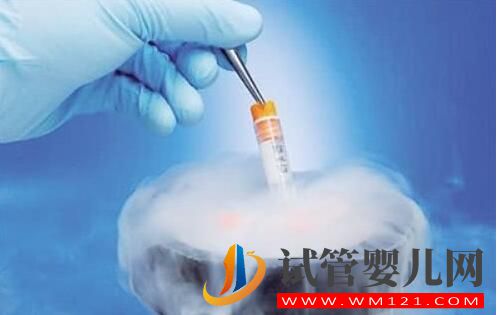 試管嬰兒胚胎解凍會影響質量嗎？(圖1)