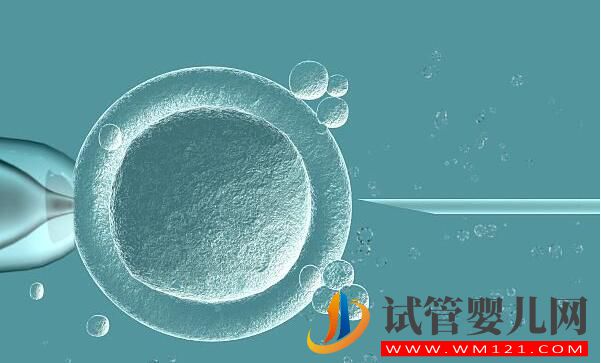 做試管促排方案不會選?(圖6) 做試管促排方案不會選?(圖6)