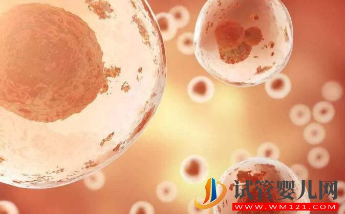 做試管嬰兒的條件有哪些?(圖4) 做試管嬰兒的條件有哪些?(圖4)